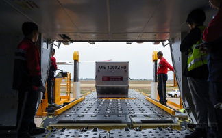 吉祥航空春運保障130萬件托運行李