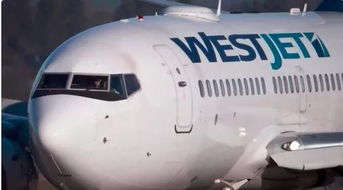 錢包在哭泣 加航 西捷行李托運(yùn)費(fèi)猛漲 托運(yùn)費(fèi)最低 30起